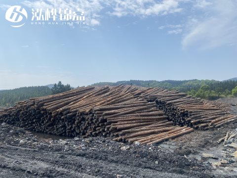 河道打樁為什么選擇松木樁來(lái)處理軟地基？-松木樁施工使用范圍