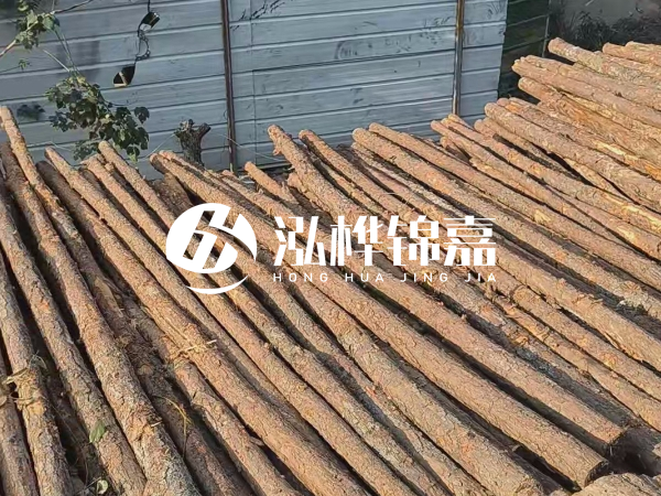 松木樁打樁后清淤怎么處理？有沒有全包的公司？