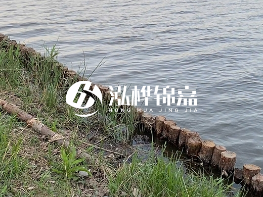 防洪松木樁施工重要性？河道打木樁的位置怎么確定？